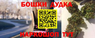 тгк Новозыбков