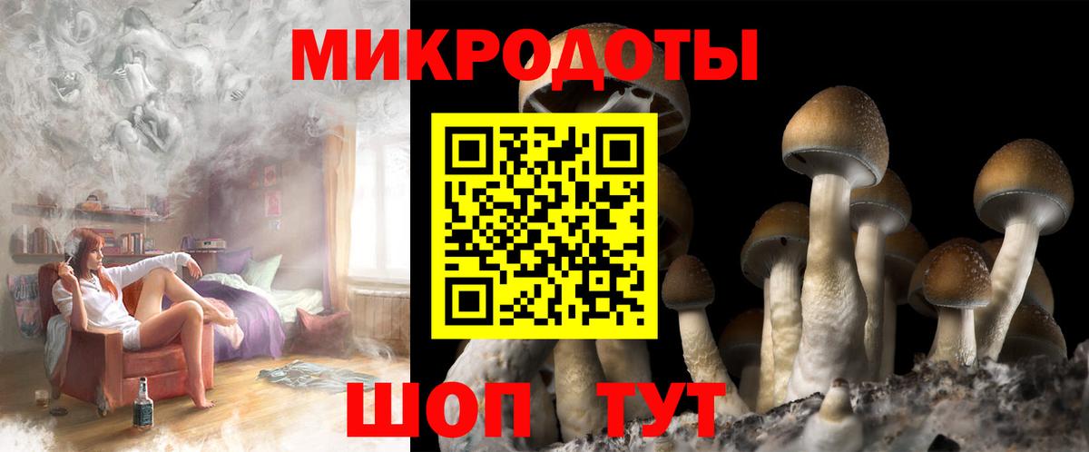 Псилоцибиновые грибы ЛСД  Вход с VPN  Томск  Псилоцибиновые грибы Psilocybe 